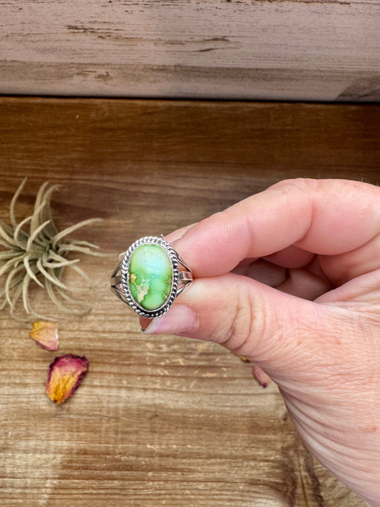 Small Ring- size 6 - Sonoran Gold Turquoise & Sterling Silver